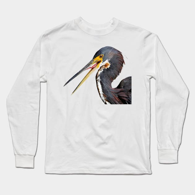 Tricolored Heron Long Sleeve T-Shirt by obscurite